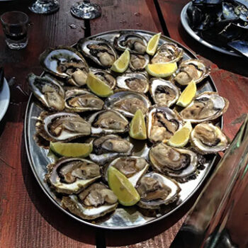 Oysters