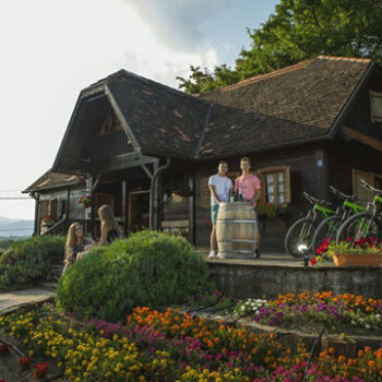 Plesivica wine tour